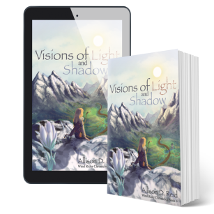 ALLISON_2021_VISIONS_3DCOVER